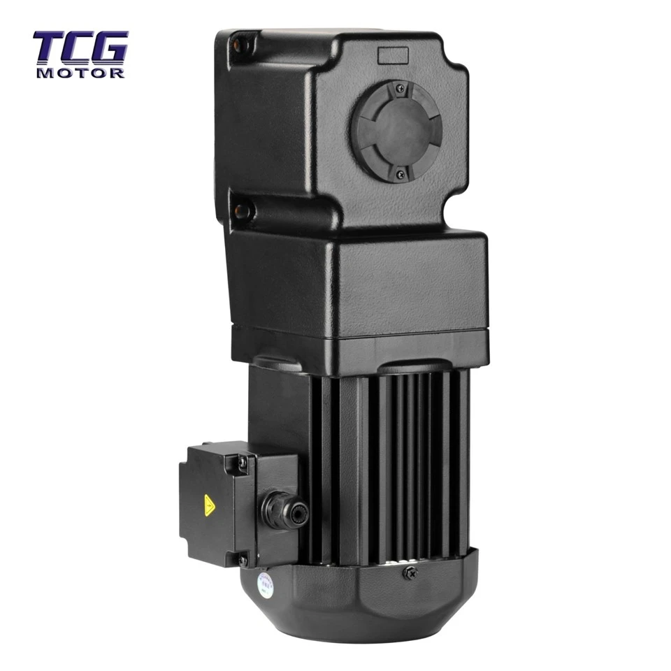 Ac Gear Motor Variable Speed factory