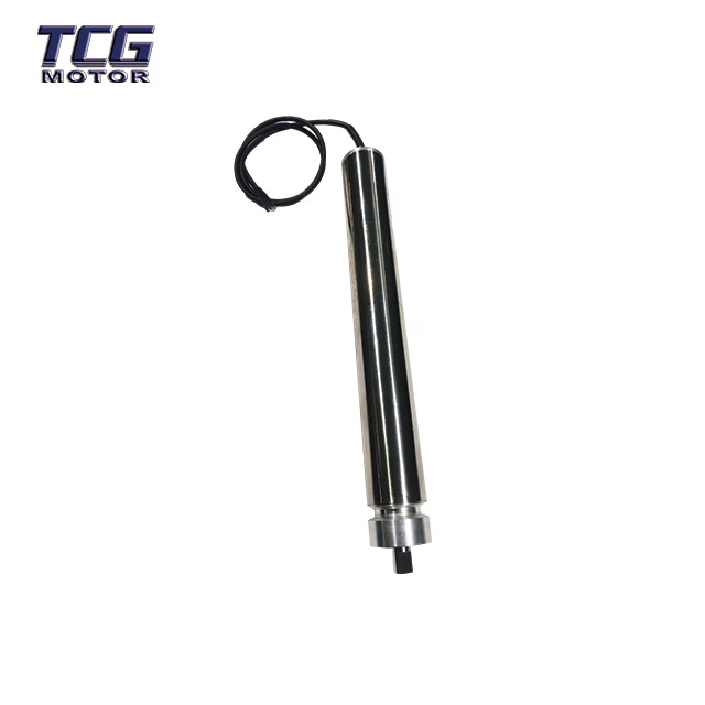 DC Series Conveyor Motor