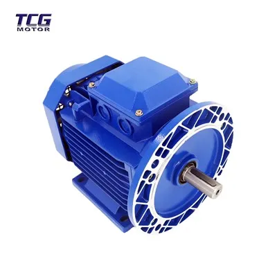 Motor s velikim prirubnicama